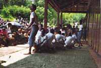 Odyssey produced school play performance for students